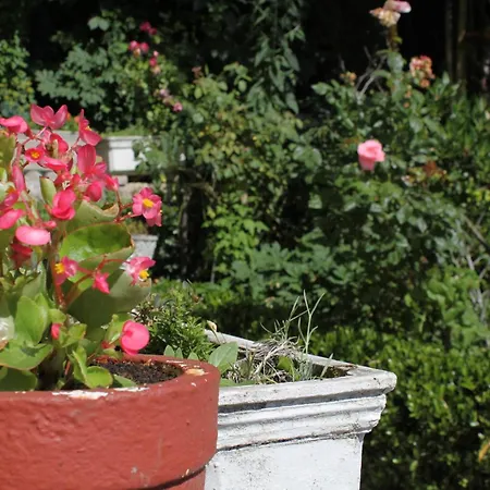 With Parking Space - Volosko, - 7897 أوباتيا